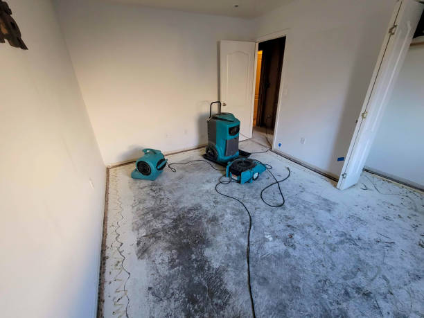 Best Water damage contractors near me  in Olean, NY