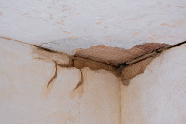 Sewage cleanup and water damage restoration in Olean, NY