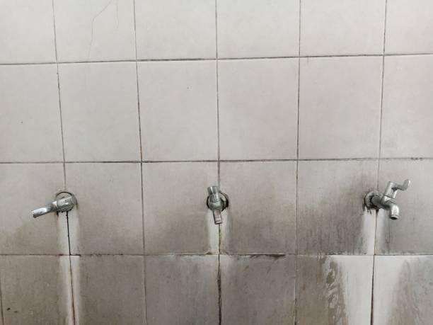 Best Carpet water damage restoration  in Olean, NY