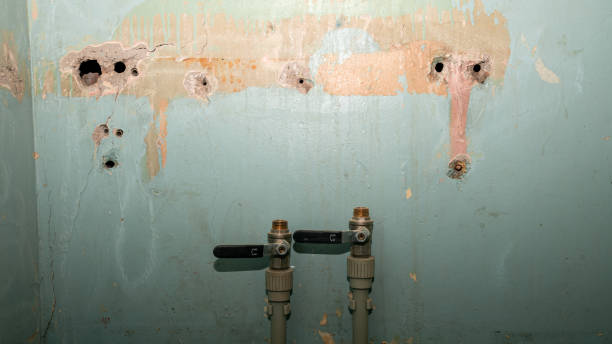 Best Basement water damage restoration  in Olean, NY