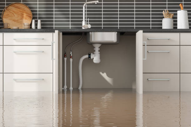 Best Water damage cleanup near me  in Olean, NY