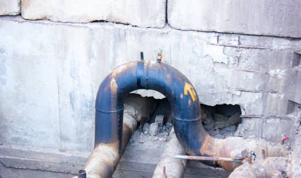 Best Professional water damage repair  in Olean, NY